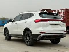 2021 Haval H6 Guochao 1.5T AT Urban, белый — фото 9