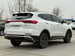 2021 Haval H6 Guochao 1.5T AT Urban, белый — фото 11