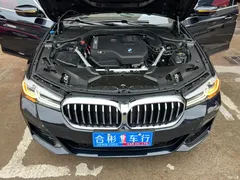 2022 BMW 5 Series Modified 525Li M Sports Package, чёрный — фото 28