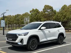 2021 Jetour Jietu X90 PLUS 1.6TD DCT Manor 5 seats, белый — фото 3