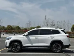 2021 Jetour Jietu X90 PLUS 1.6TD DCT Manor 5 seats, белый — фото 4
