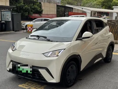 2024 BYD Seagull Honor 305km Vitality