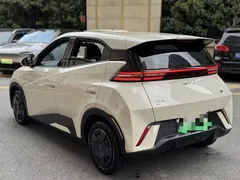 2024 BYD Seagull Honor 305km Vitality, белый — фото 3
