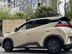 2024 BYD Seagull Honor 305km Vitality, белый — фото 20