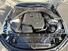 2023 BMW 3 Series 320Li M Sport Package, белый — фото 23
