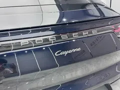 2023 Porsche Cayenne 3.0T Platinum, синий — фото 11