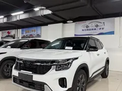 2023 Kia Seltos 1.5L CVT Luxury, белый — фото 1