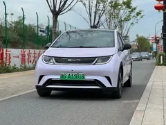 2023 BYD Dolphin 420km Fashion — фото 1