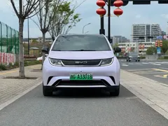 2023 BYD Dolphin 420km Fashion — фото 2