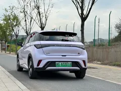 2023 BYD Dolphin 420km Fashion — фото 5