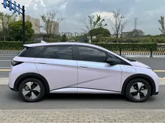 2023 BYD Dolphin 420km Fashion — фото 8