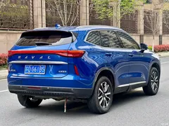 2021 Haval H6 Third Generation 1.5T AT 2WD Pro, синий — фото 6