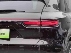 2023 Porsche Cayenne E-Hybrid 2.0T PHEV Platinum — фото 20