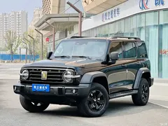 2021 Tank 300 Off-Road 2.0T Challenger, чёрный — фото 1
