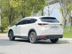 2019 Mazda CX-8 2.5L 2WD Luxury — фото 5