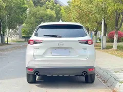 2019 Mazda CX-8 2.5L 2WD Luxury — фото 6