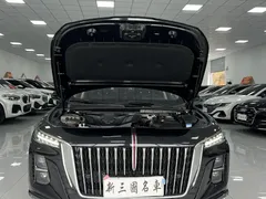 2023 Hongqi H5 1.5T DCT, чёрный — фото 15