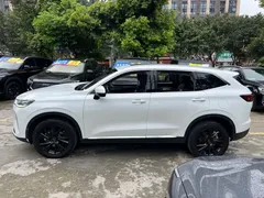 2021 Haval H6 2.0T AT 4WD Max, белый — фото 6