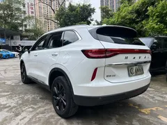 2021 Haval H6 2.0T AT 4WD Max, белый — фото 21