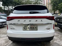 2021 Haval H6 2.0T AT 4WD Max, белый — фото 22