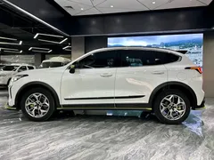 2022 Haval Chitu 1.5T, белый — фото 8