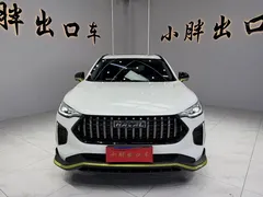 2022 Haval Chitu 1.5T, белый — фото 3