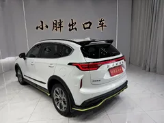 2022 Haval Chitu 1.5T, белый — фото 5