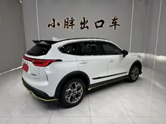 2022 Haval Chitu 1.5T, белый — фото 6