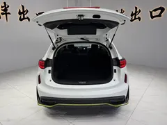 2022 Haval Chitu 1.5T, белый — фото 18