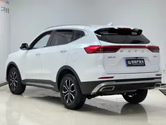2021 Haval H6 1.5T AT, белый — фото 6