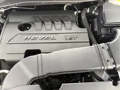 2021 Haval H6 1.5GDIT AT Champion, белый — фото 22