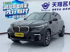 2022 BMW X5 xDrive 30Li M, чёрный — фото 1