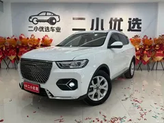 2021 Haval H6 1.5GDIT AT Urban, белый — фото 1