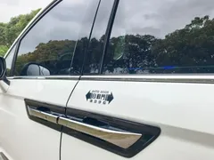 2019 Honda Elysion 2.0L Hybrid Luxury, белый — фото 20