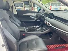 2021 Jetour Jietu X70 PLUS Zhuge 1.6T DCT Kongming 7 seats, белый — фото 9