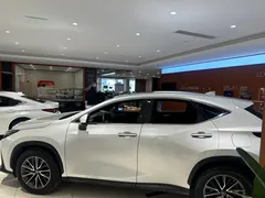 2022 Lexus NX 260, белый — фото 2