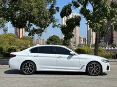 2021 BMW 5 Series 5 530Li M — фото 7
