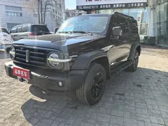 2021 Tank 300 2.0T, чёрный — фото 1