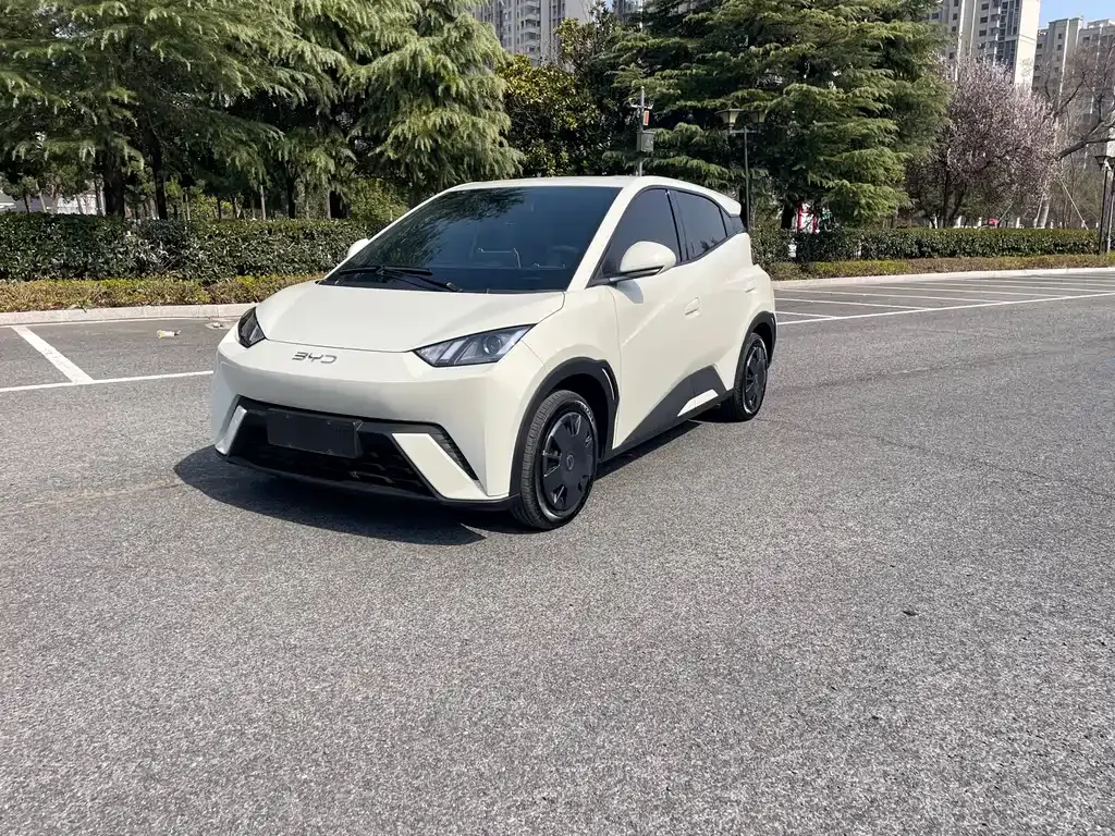 2024 BYD Seagull Honor 305km Vitality