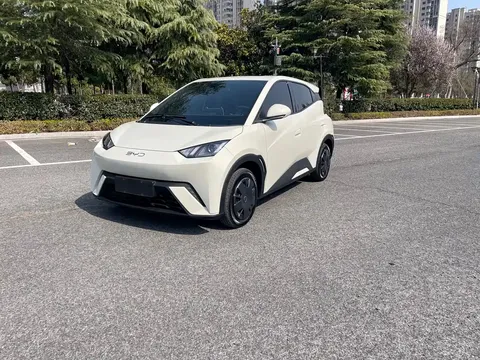 2024 BYD Seagull Honor 305km Vitality