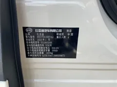 2024 BYD Seagull Honor 305km Vitality, белый — фото 13
