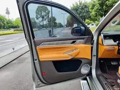 2023 Tank 500 3.0T business environment type 5 seats — фото 6