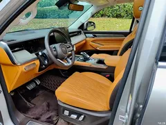 2023 Tank 500 3.0T business environment type 5 seats — фото 7