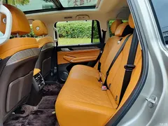 2023 Tank 500 3.0T business environment type 5 seats — фото 8
