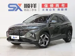 2023 Hyundai Tucson Tucson L 1.5T AT 2WD DLX Luxury — фото 1