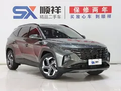 2023 Hyundai Tucson Tucson L 1.5T AT 2WD DLX Luxury — фото 3