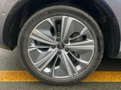 2022 Hongqi E-HS9 690km — фото 7