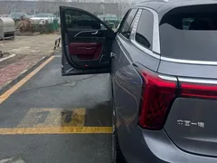 2022 Hongqi E-HS9 690km — фото 8