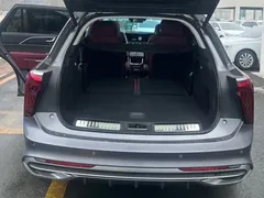 2022 Hongqi E-HS9 690km — фото 15