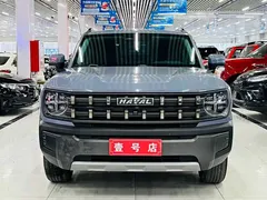 2022 Haval Cool Dog 1.5T DCT 2WD, синий — фото 2